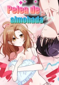 Portada de Pelea de almohada