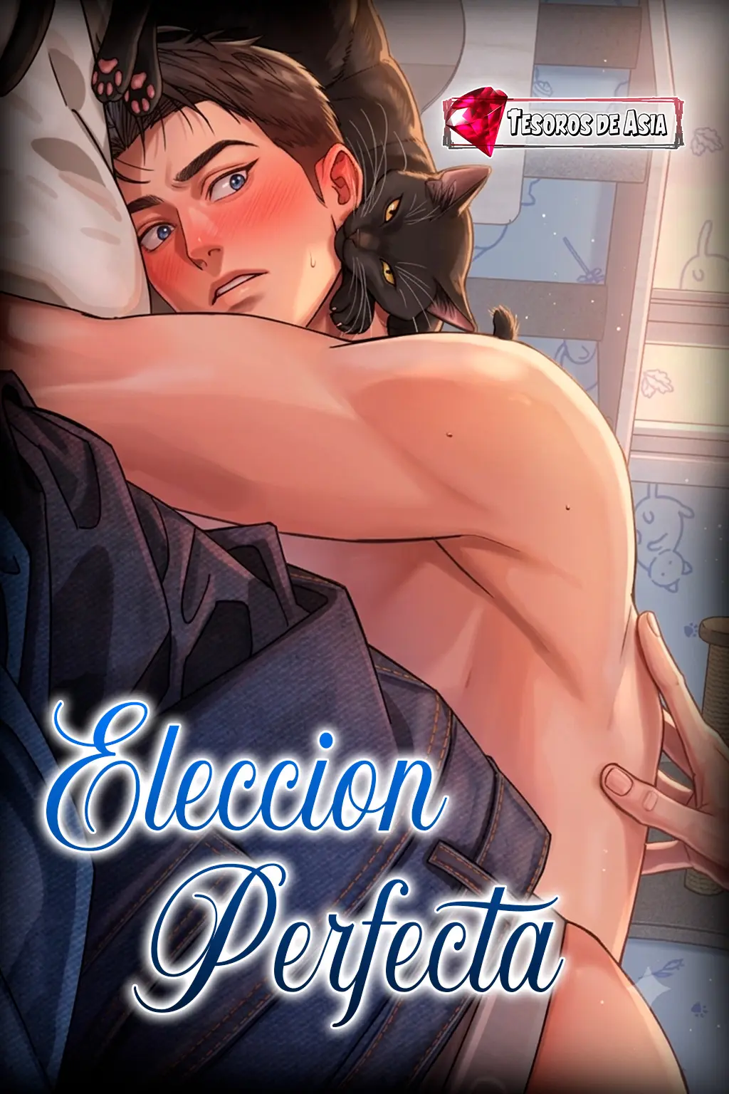 Portada de Elección Perfecta