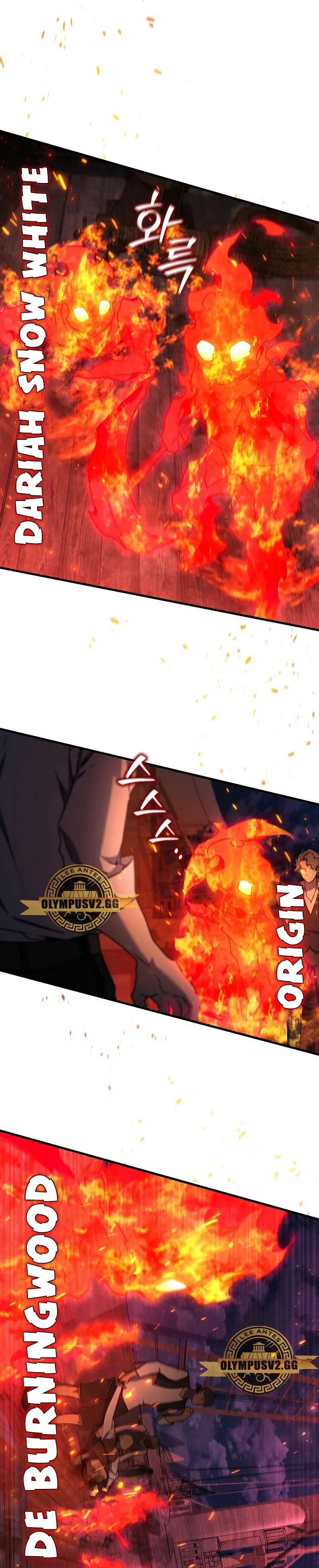 Mago devorador de dragones capítulo 12 página 8