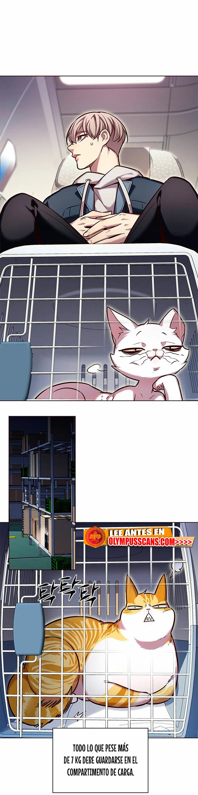 Eleceed capítulo 231 página 13
