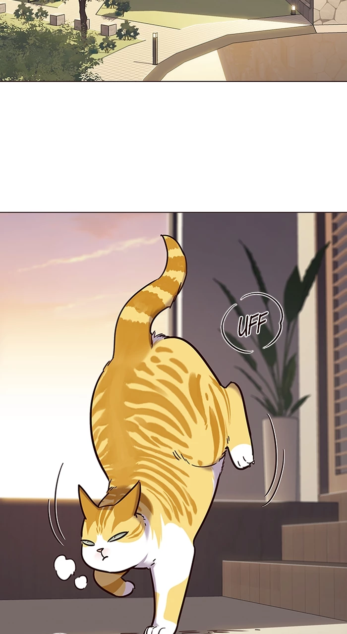 Eleceed capítulo 94 página 18