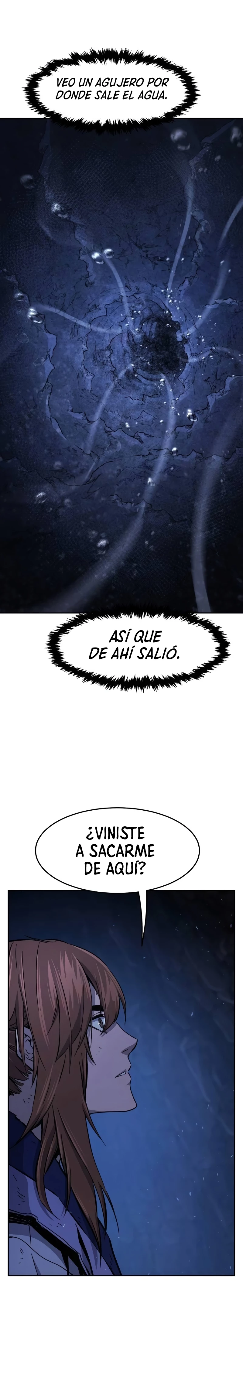El Sentido Absoluto de las Espadas capítulo 113 página 31