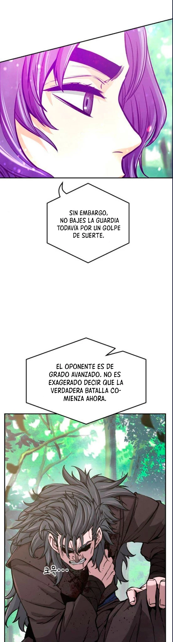 El Sentido Absoluto de las Espadas capítulo 15 página 11
