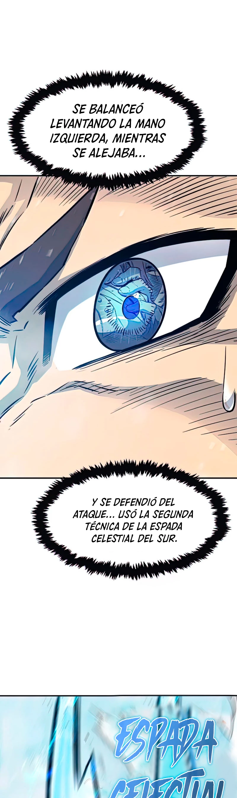 El Sentido Absoluto de las Espadas capítulo 18 página 45
