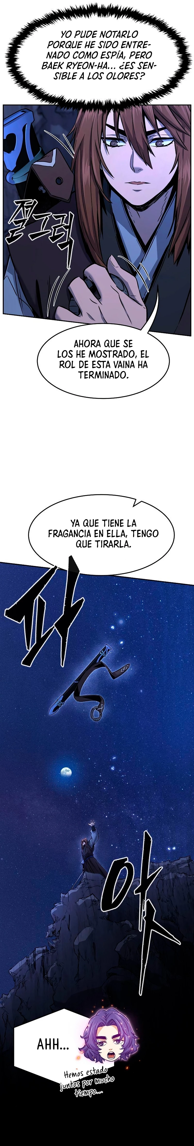 El Sentido Absoluto de las Espadas capítulo 45 página 29