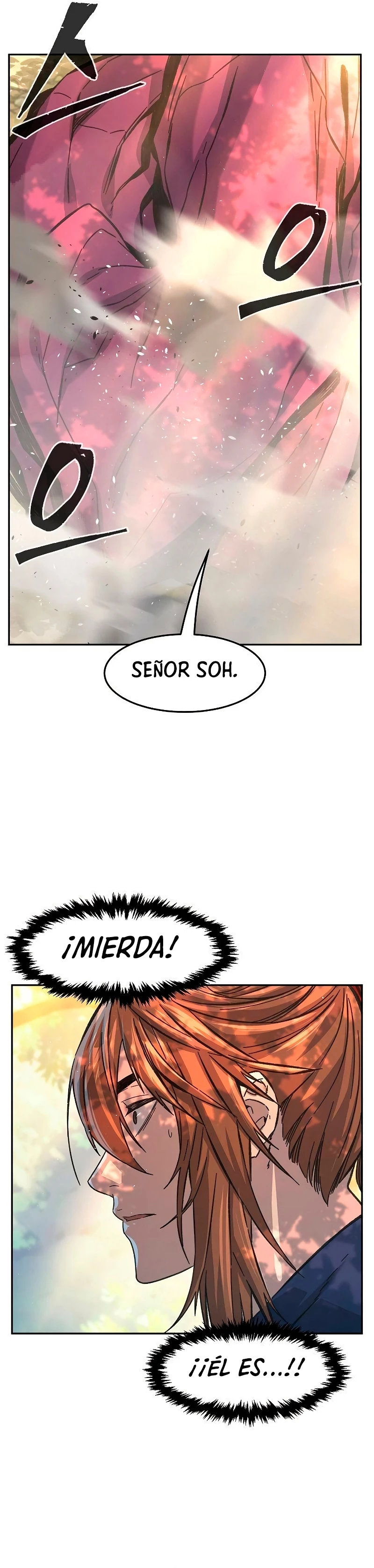 El Sentido Absoluto de las Espadas capítulo 87 página 39