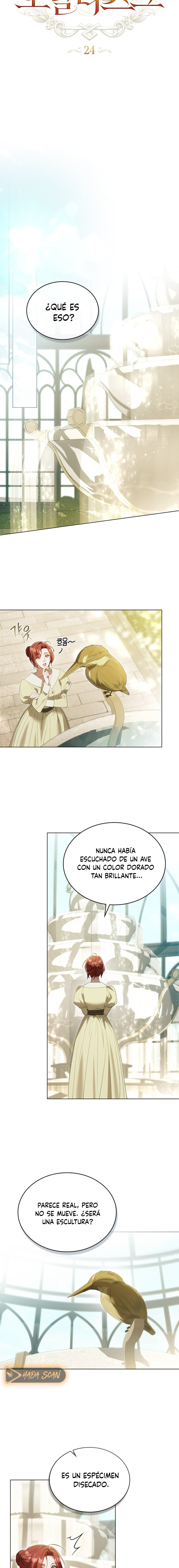 Odaliska capítulo 24 página 7