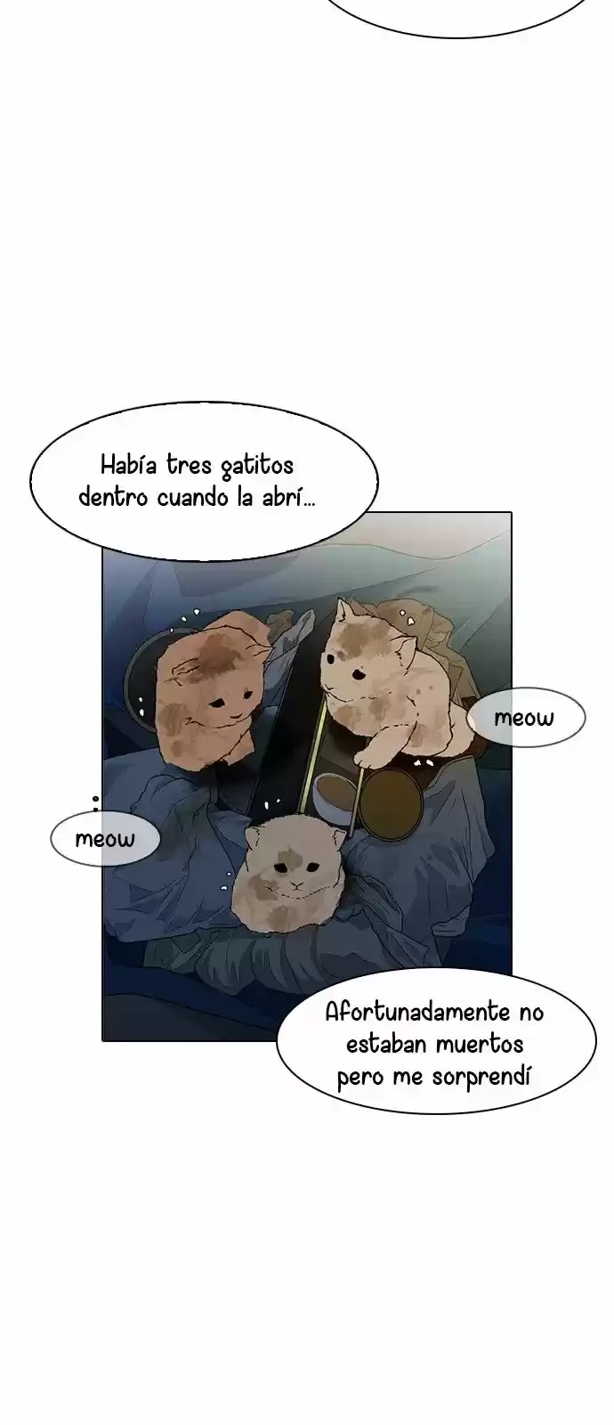 Nueva cara capítulo 149 página 78