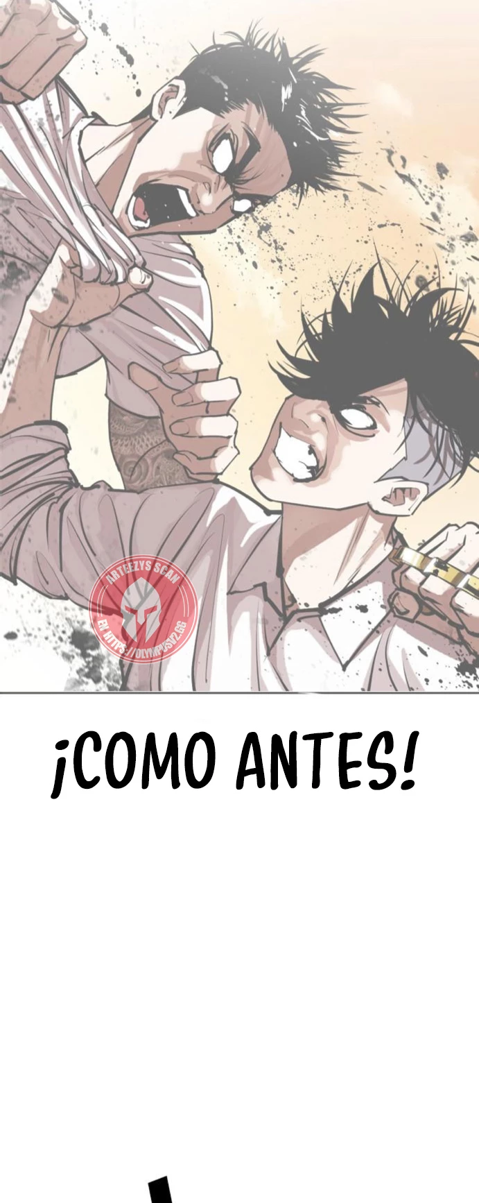 Nueva cara capítulo 466 página 14