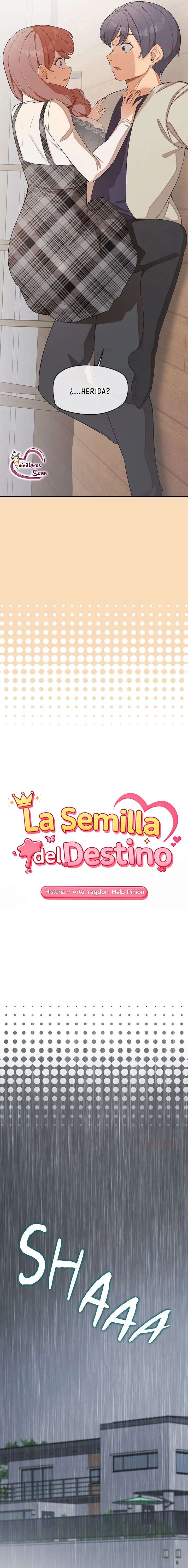 La semilla del destino capítulo 26 página 3