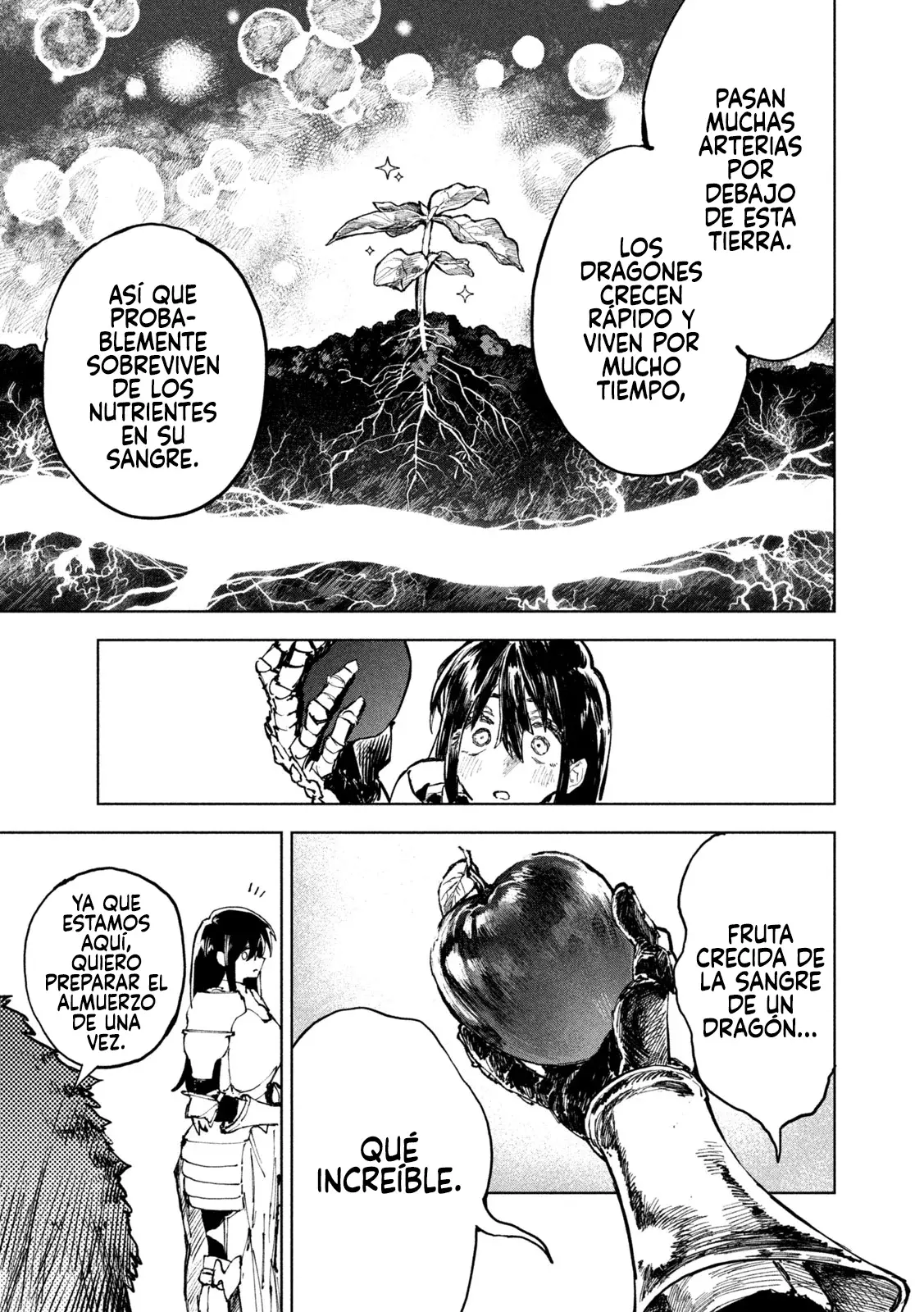 Dragon no I de Oyasumi capítulo 2 página 14