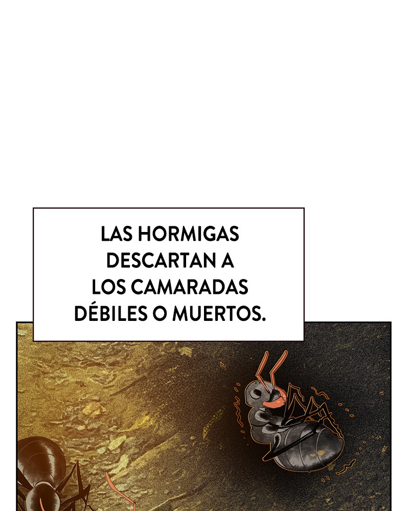 Jungle Juice capítulo 46 página 62