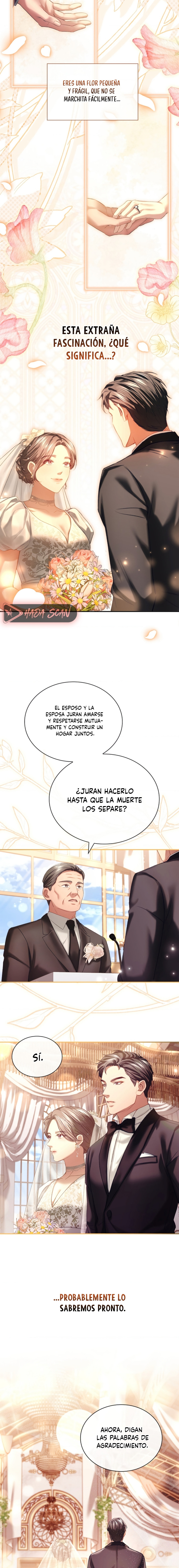 La esposa joven capítulo 21 página 9