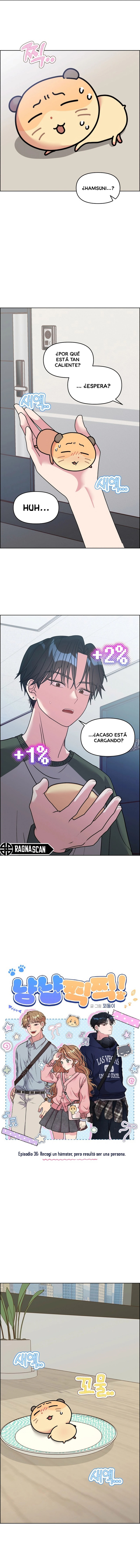¡Meow Meow! ¡Squeak Squeak! capítulo 36 página 3