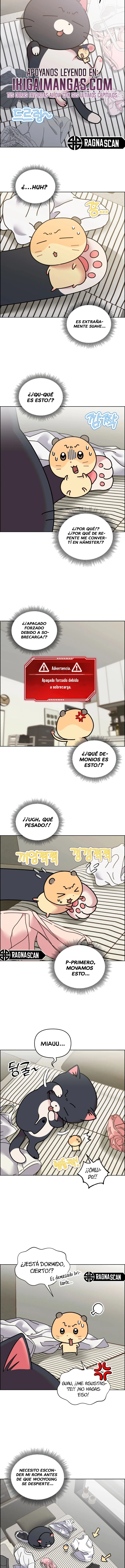 ¡Meow Meow! ¡Squeak Squeak! capítulo 50 página 3