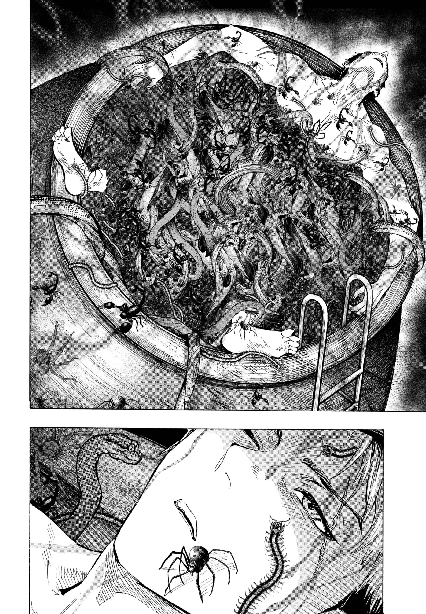 MARRIAGETOXIN capítulo 47 página 18