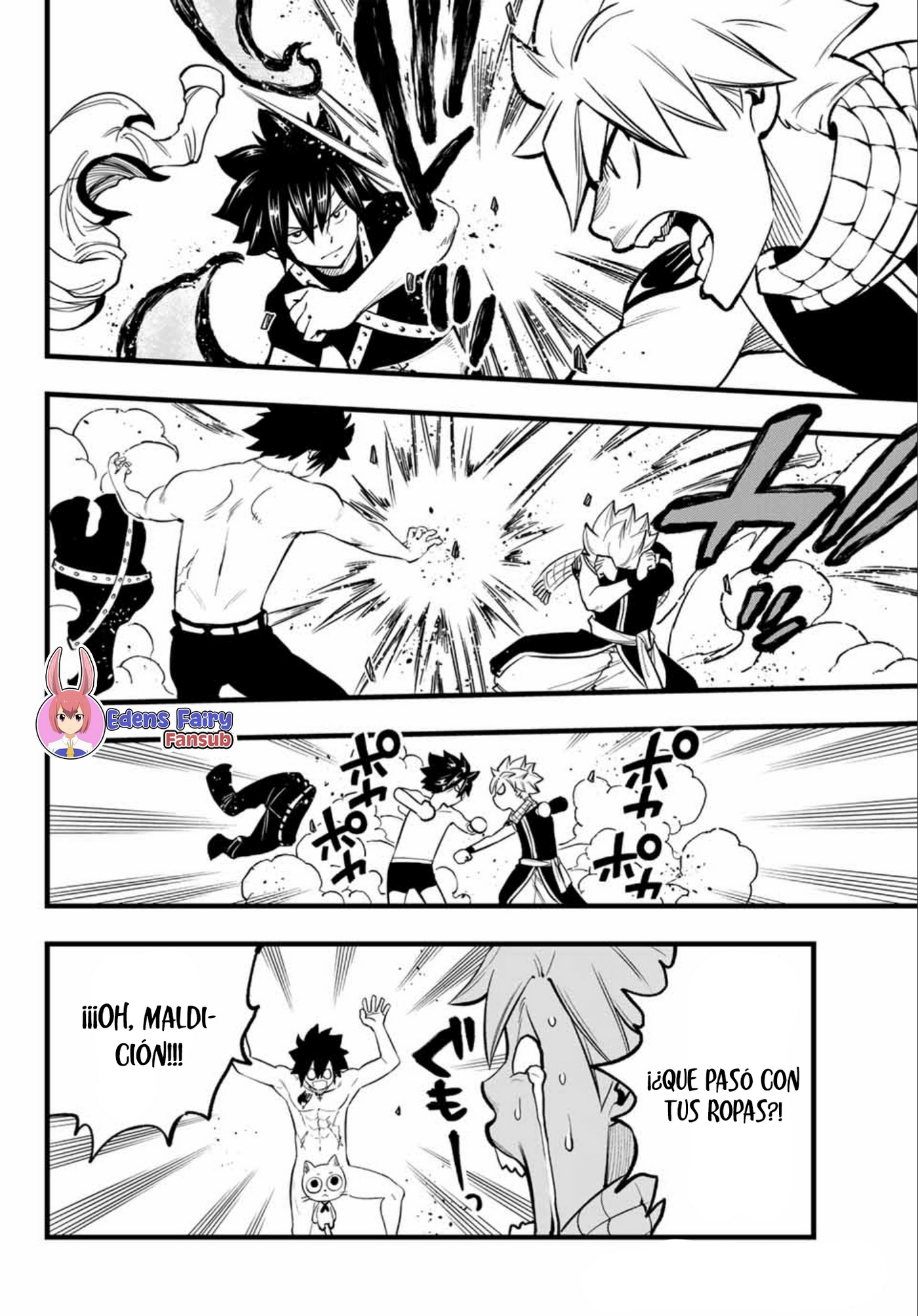 Fairy Tail: 100 Years Quest capítulo 162.5 página 14