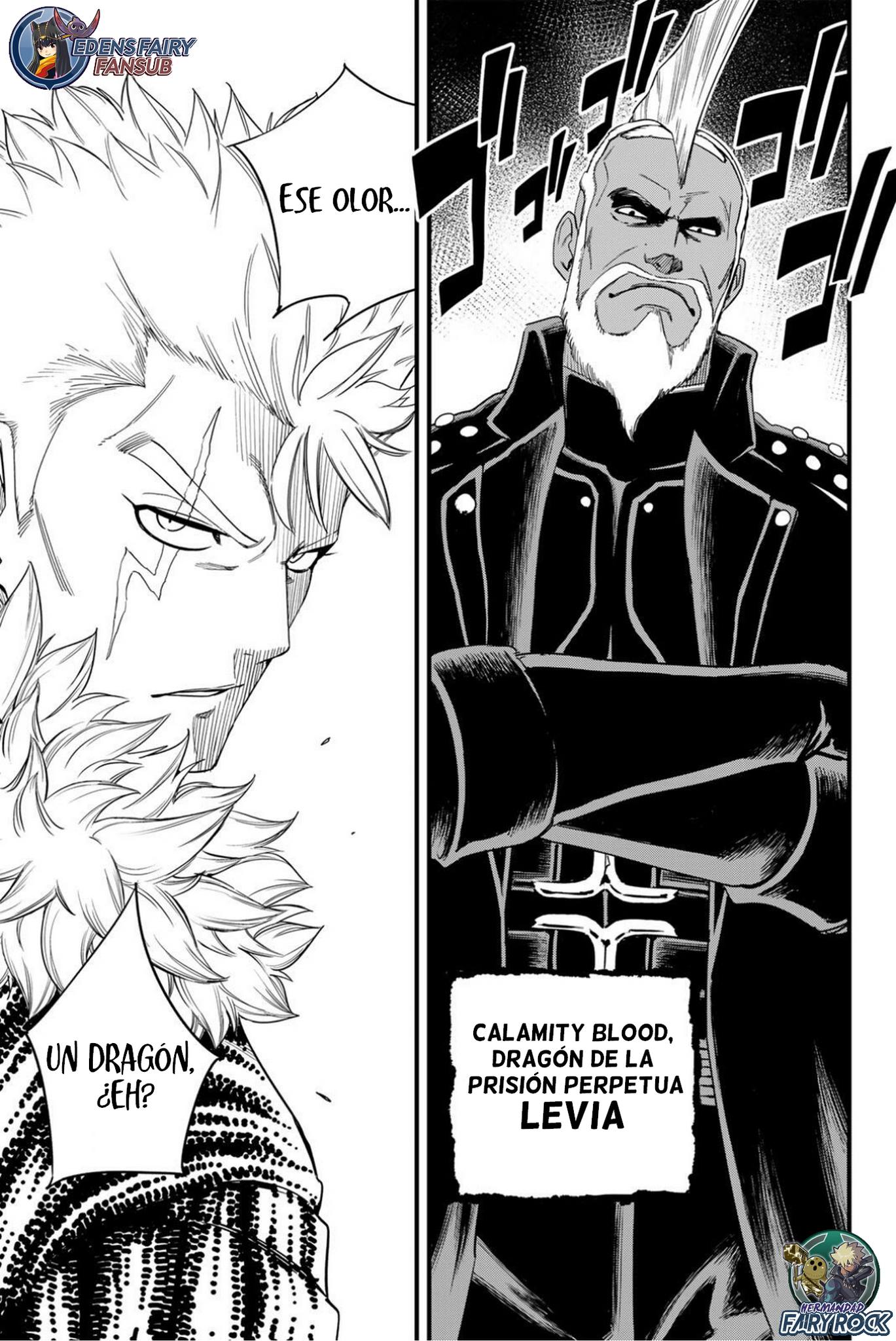 Fairy Tail: 100 Years Quest capítulo 207 página 17