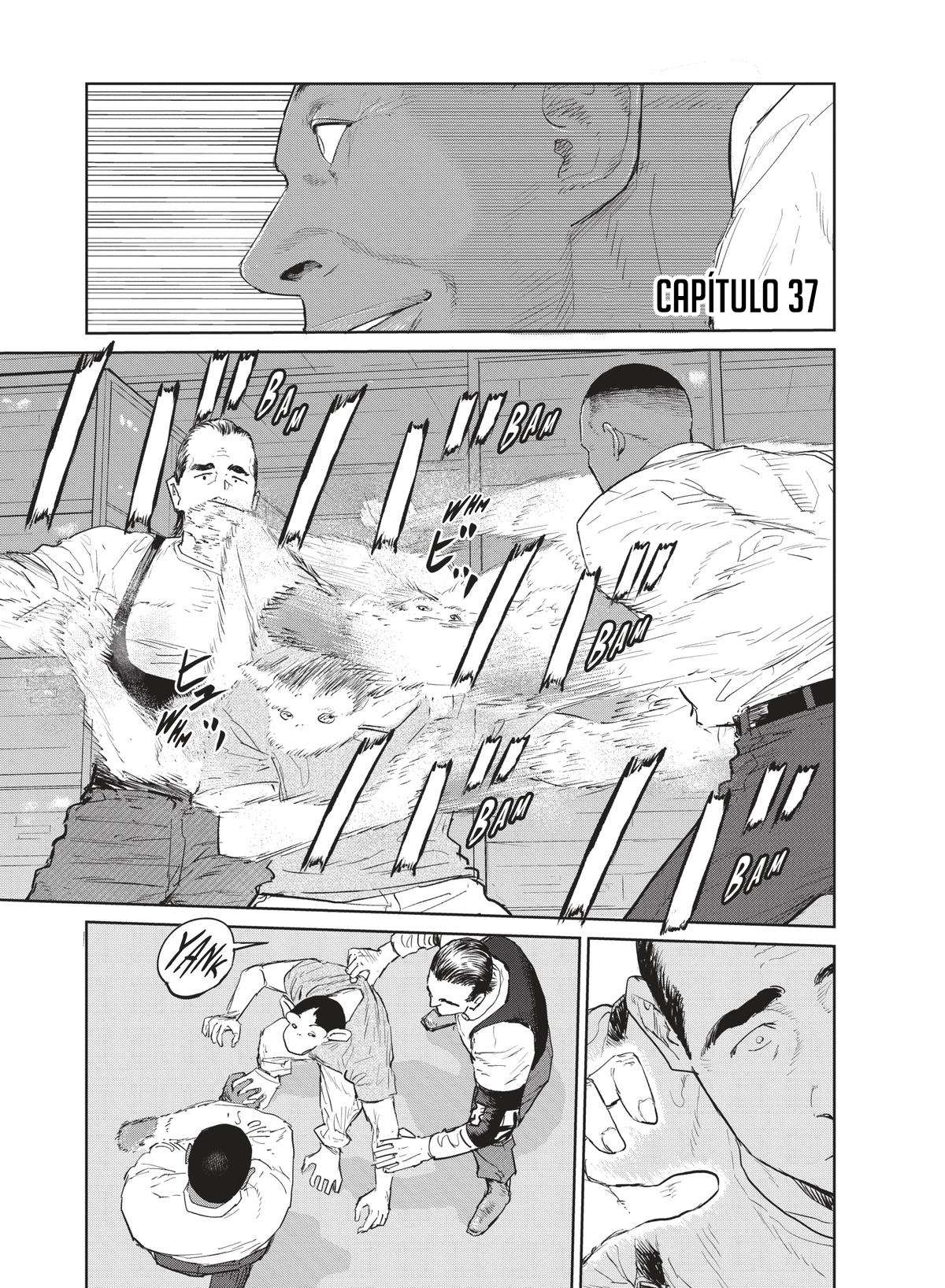 Darwin Incident capítulo 37 página 4