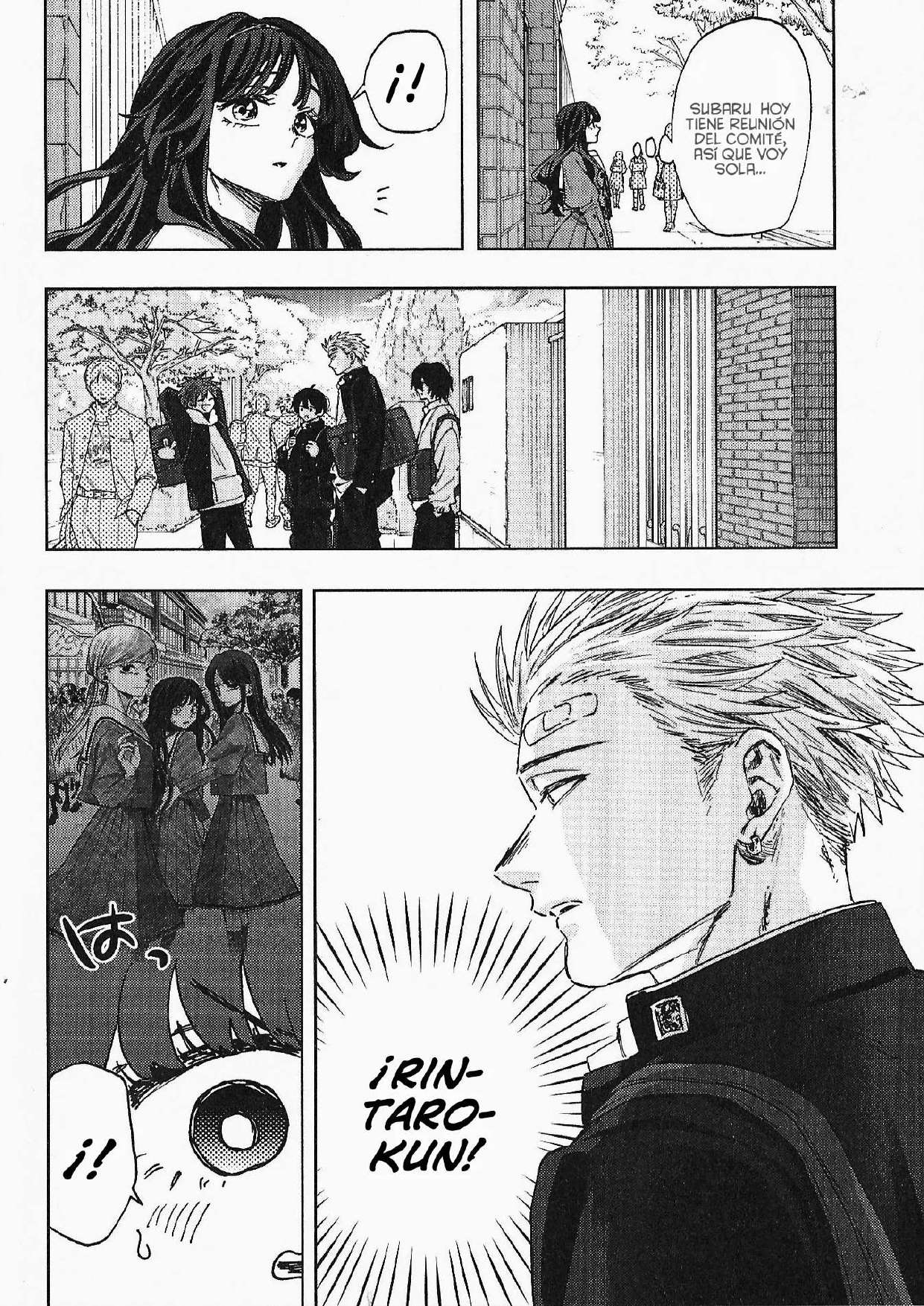 Kaoru Hana Wa Rin To Saku capítulo 168.5 página 17