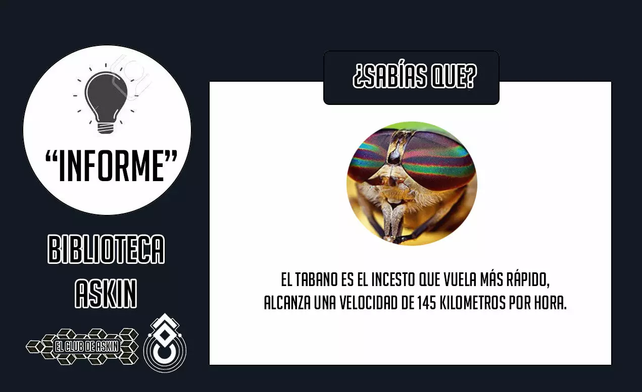 Tougen Anki capítulo 11 página 23