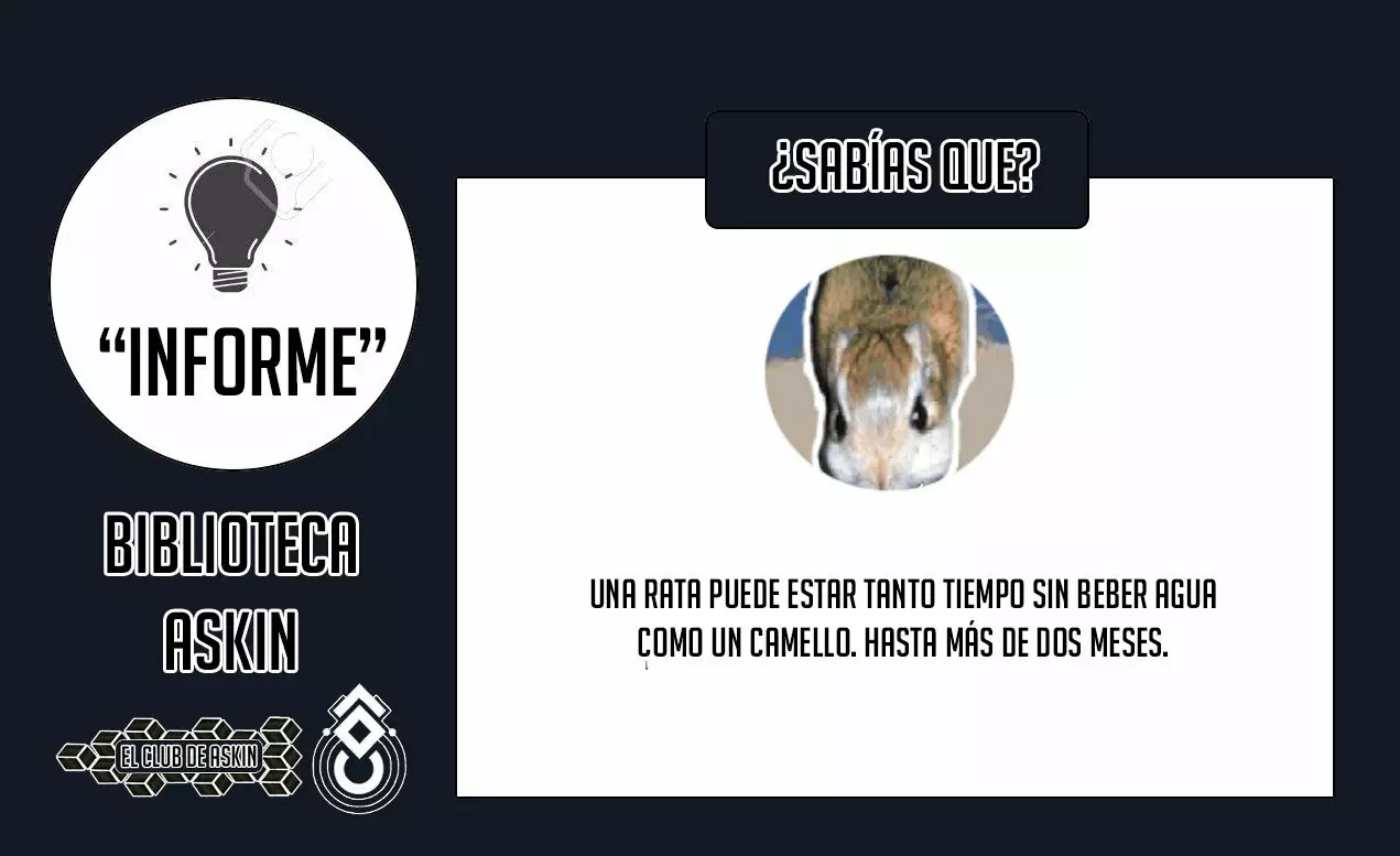 Tougen Anki capítulo 18 página 26