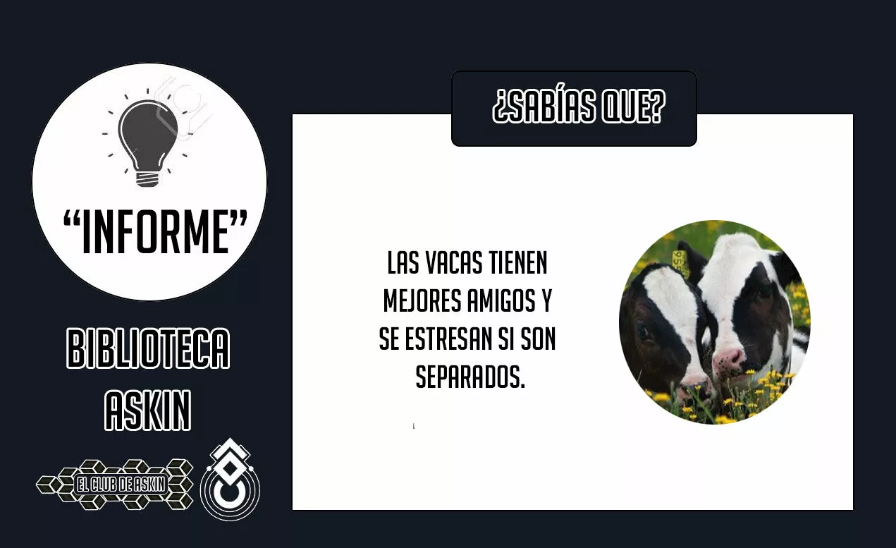 Tougen Anki capítulo 36 página 23