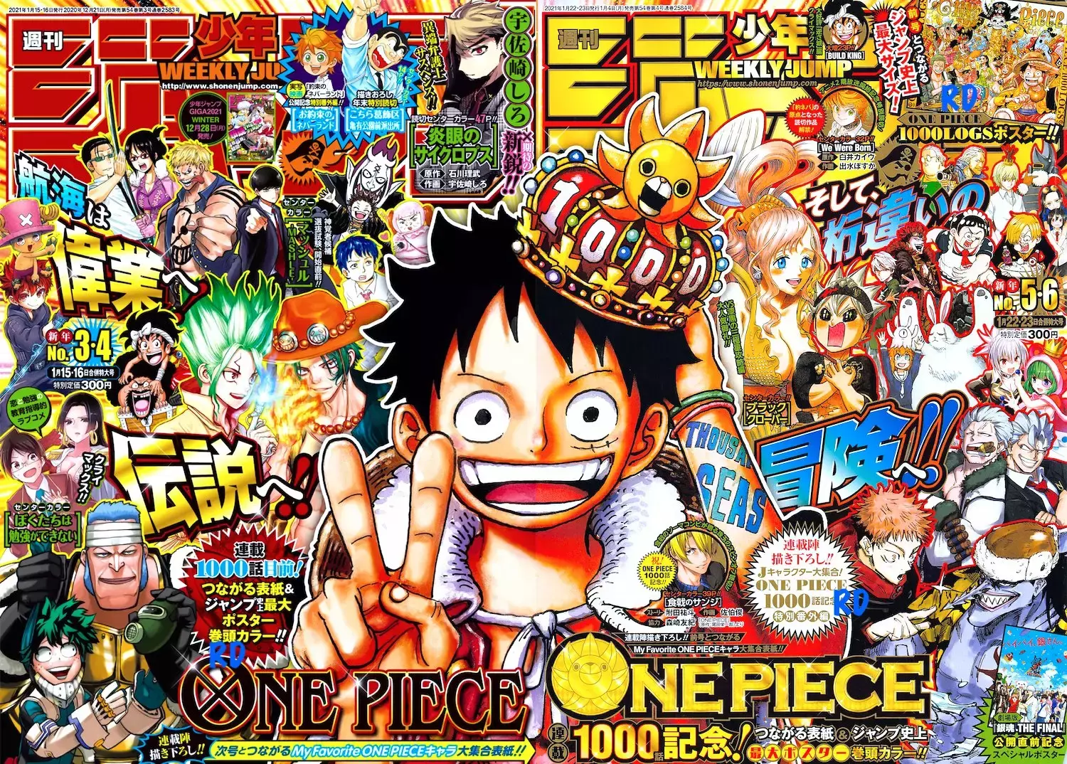One Piece capítulo 1000.5 página 19