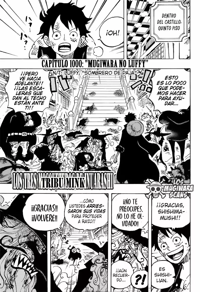 One Piece capítulo 1000.5 página 3