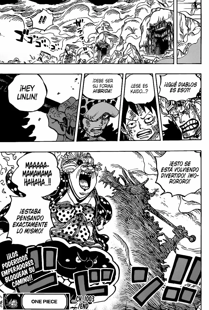 One Piece capítulo 1003 página 13
