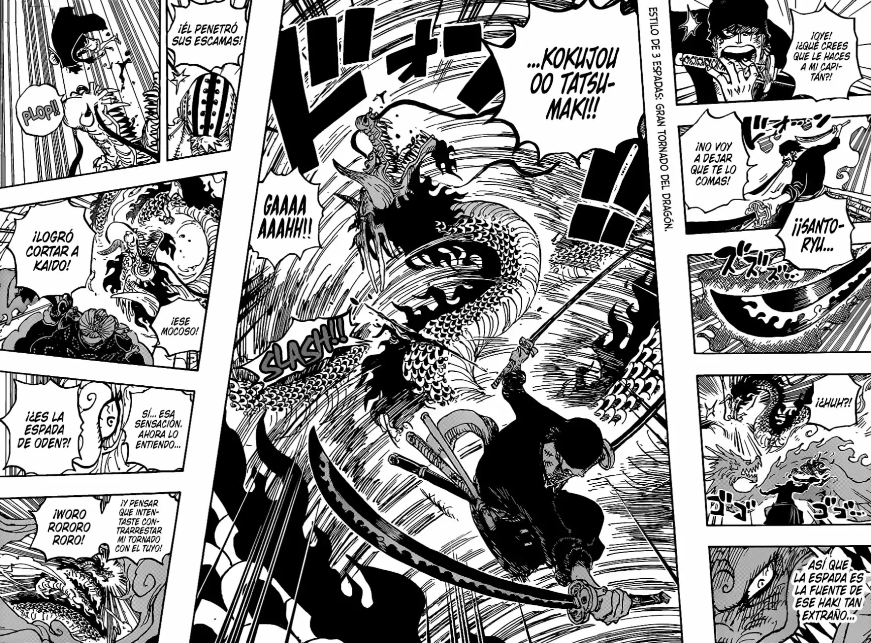 One Piece capítulo 1003 página 8