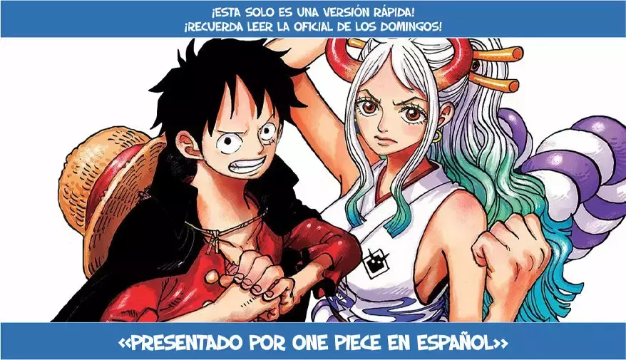 One Piece capítulo 1004 página 17