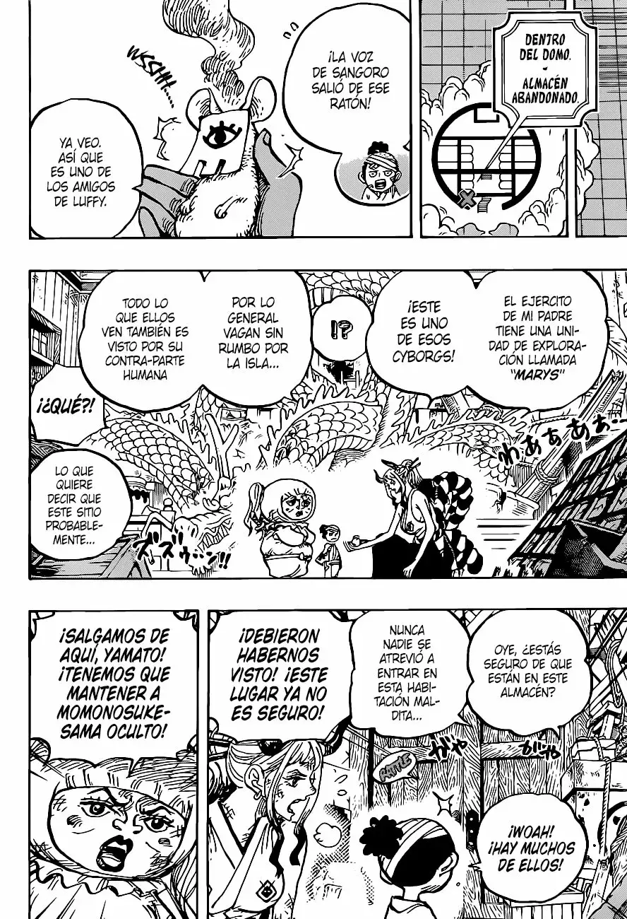 One Piece capítulo 1005 página 13