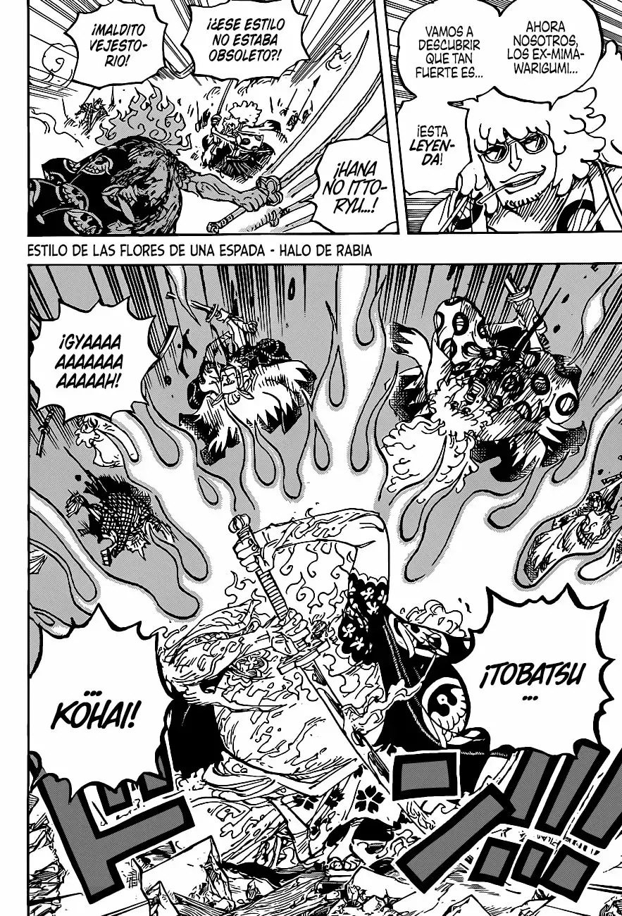 One Piece capítulo 1006 página 10