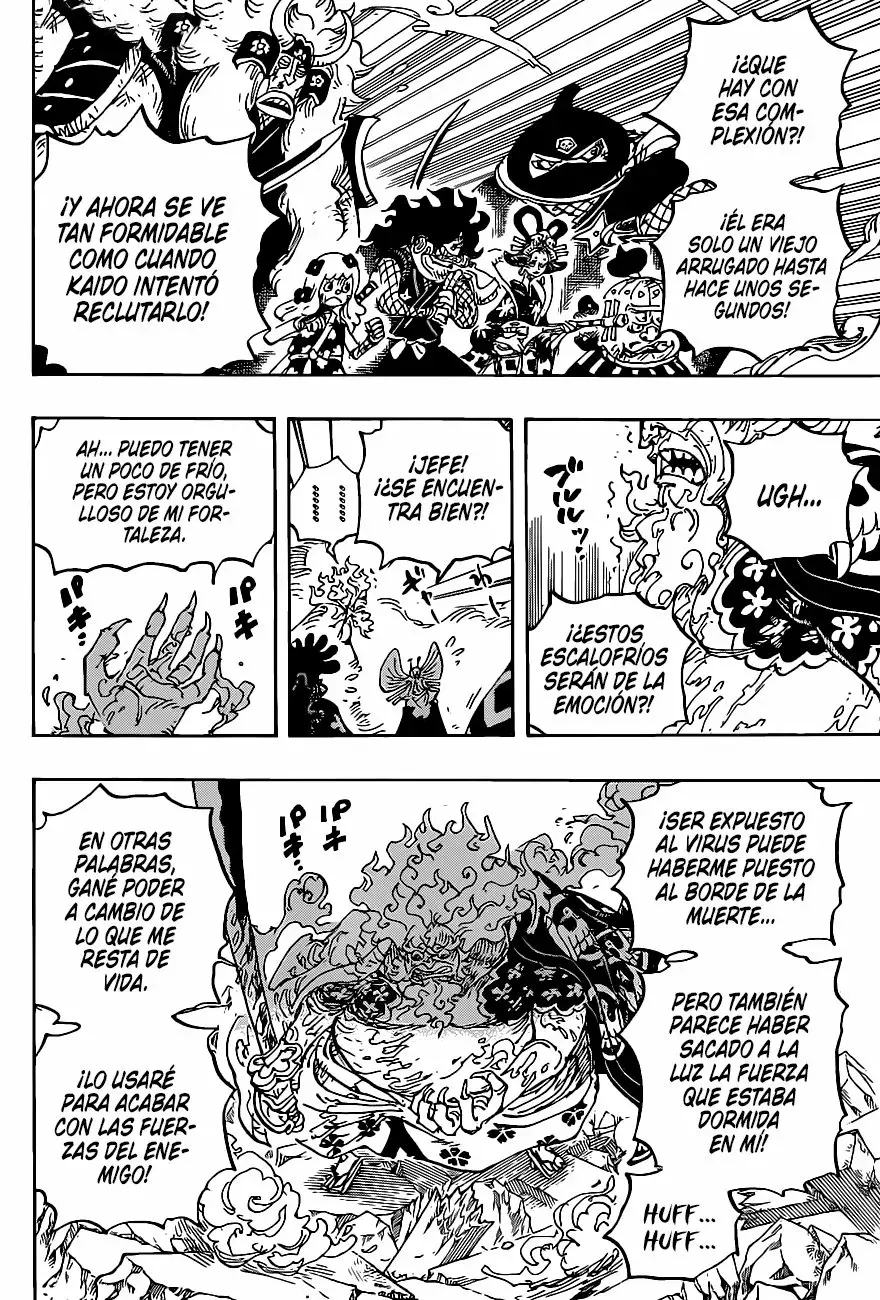 One Piece capítulo 1006 página 8