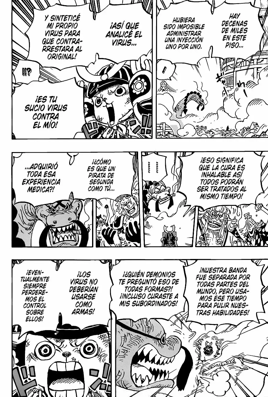 One Piece capítulo 1007 página 10