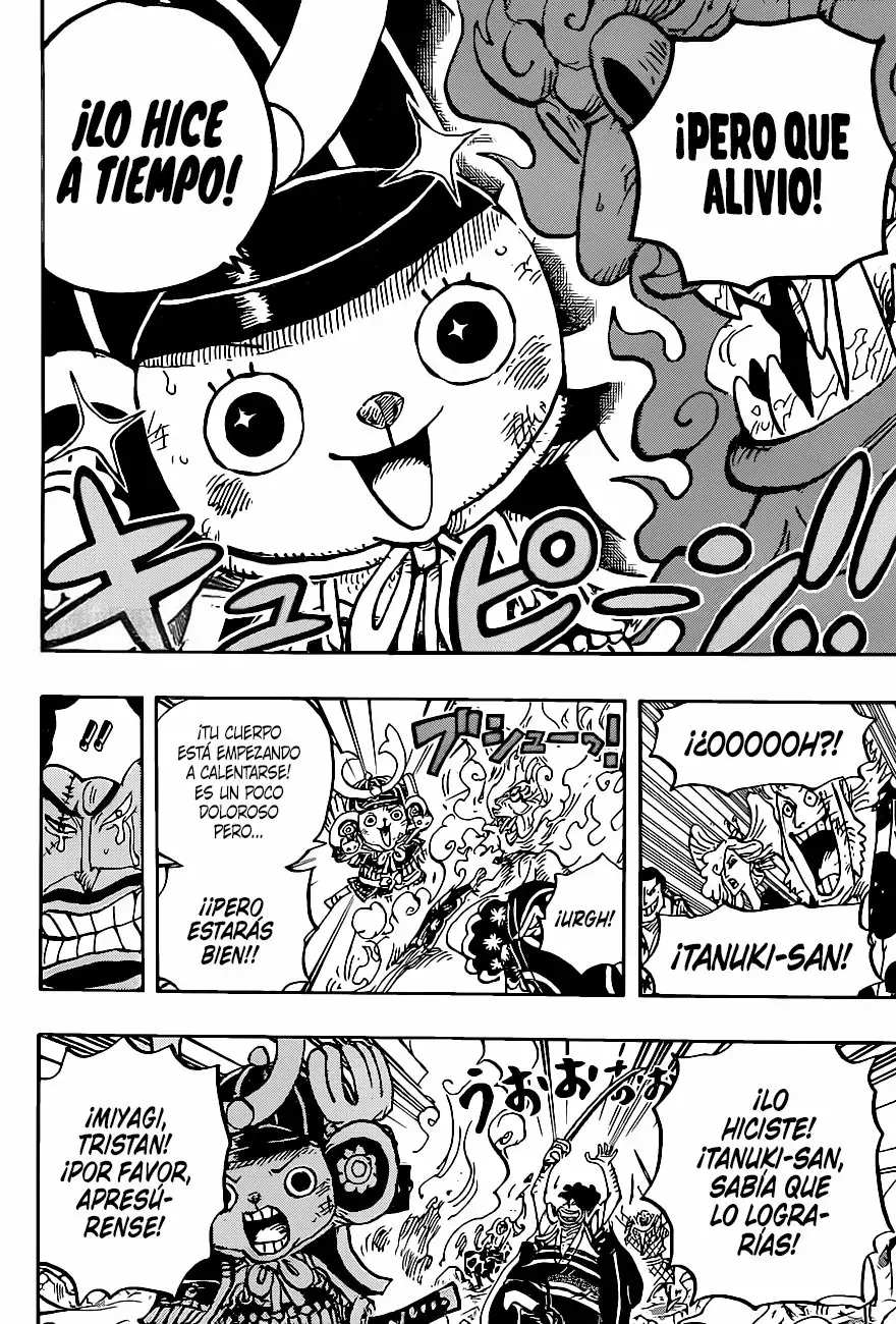 One Piece capítulo 1007 página 8