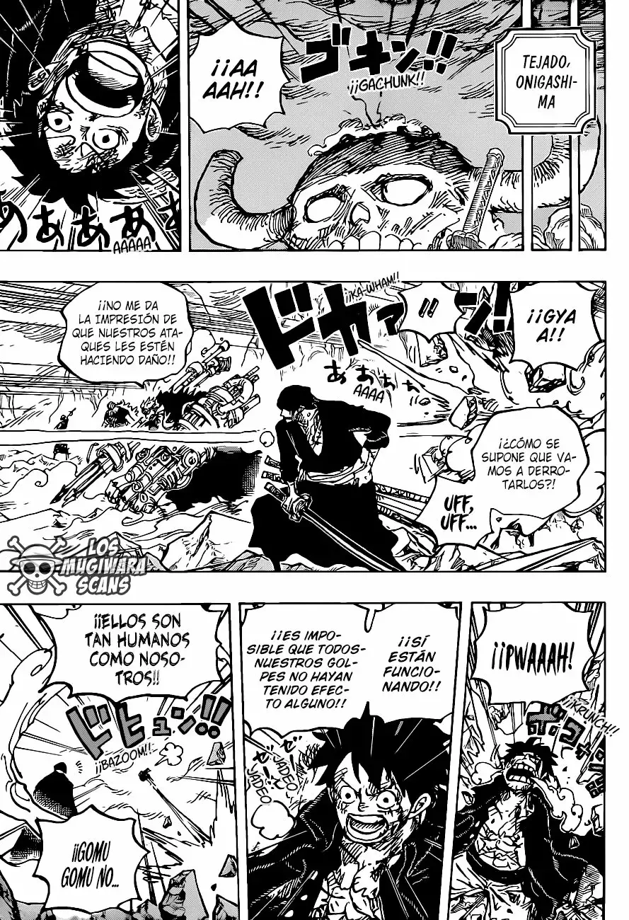 One Piece capítulo 1008.5 página 17