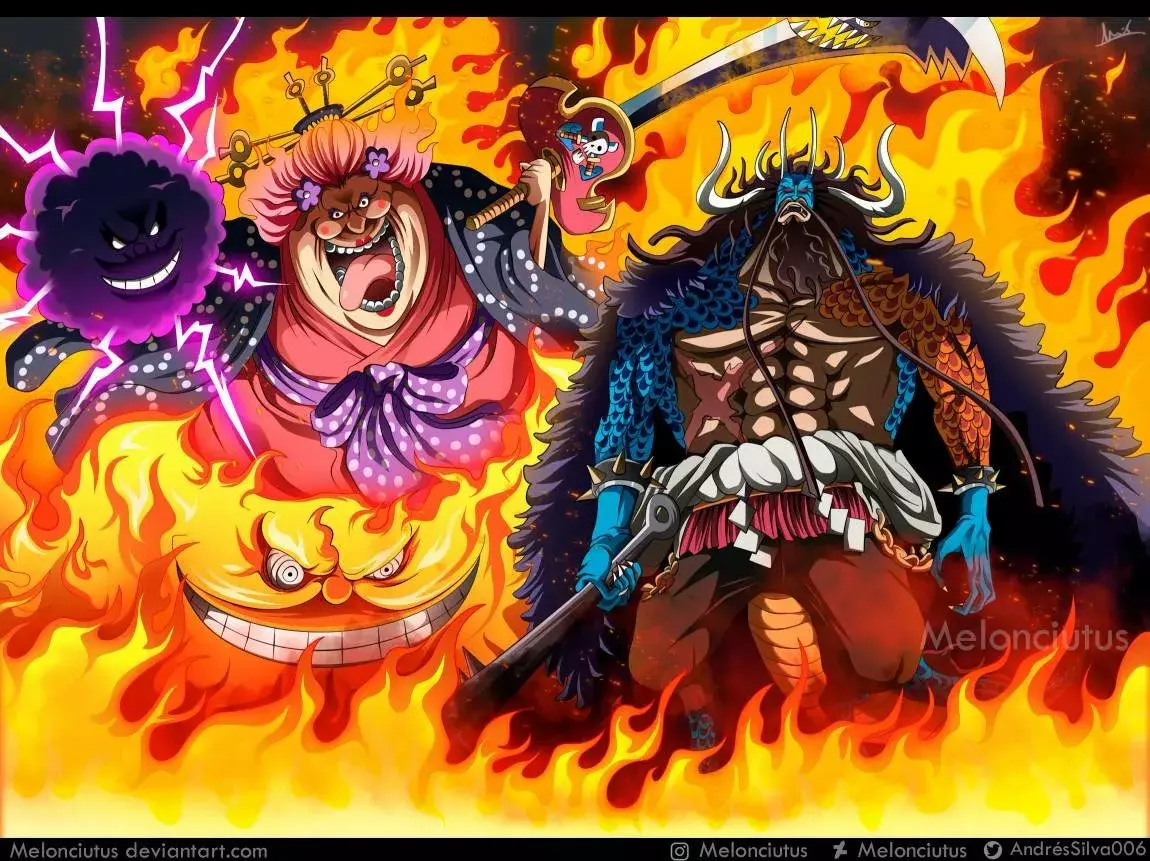 One Piece capítulo 1008.5 página 19