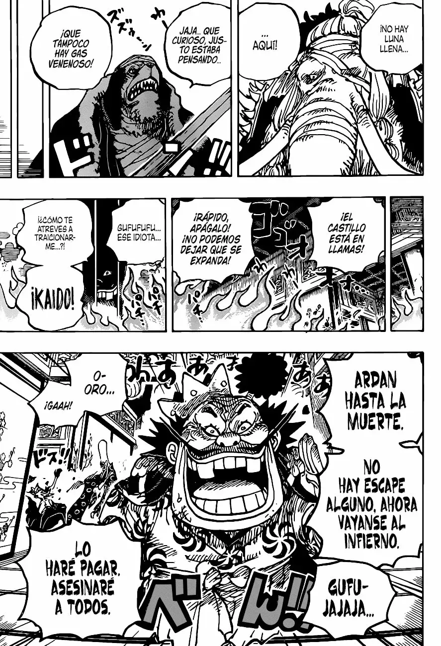 One Piece capítulo 1008 página 13
