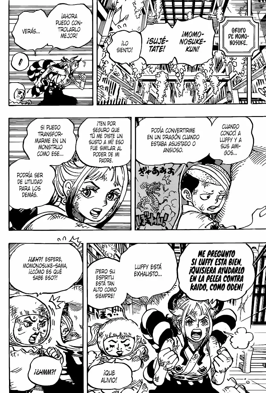 One Piece capítulo 1008 página 14