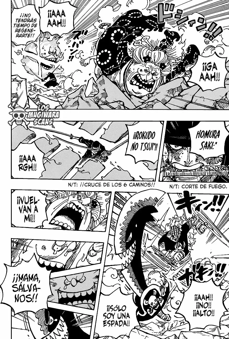 One Piece capítulo 1009.5 página 15