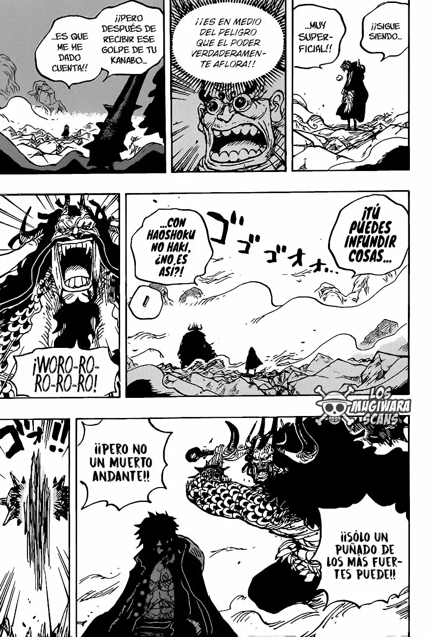 One Piece capítulo 1010.5 página 13