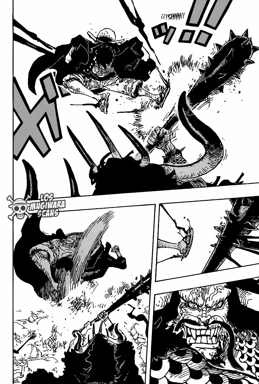 One Piece capítulo 1010.5 página 14