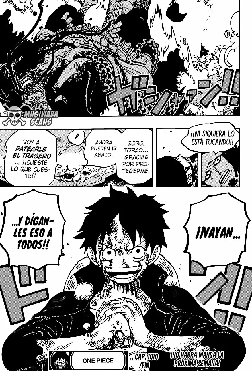 One Piece capítulo 1010.5 página 17