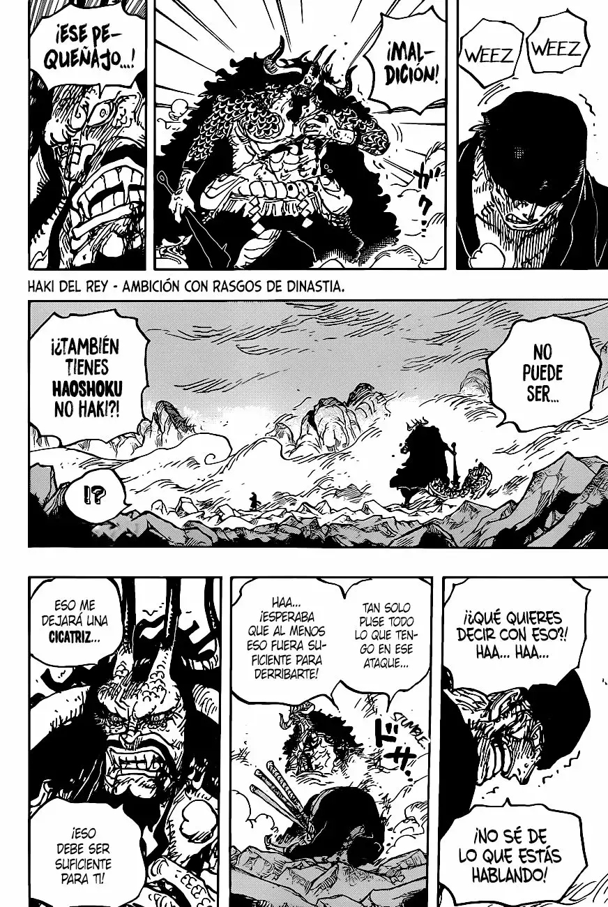 One Piece capítulo 1010 página 10