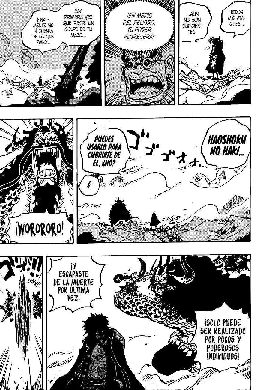One Piece capítulo 1010 página 13