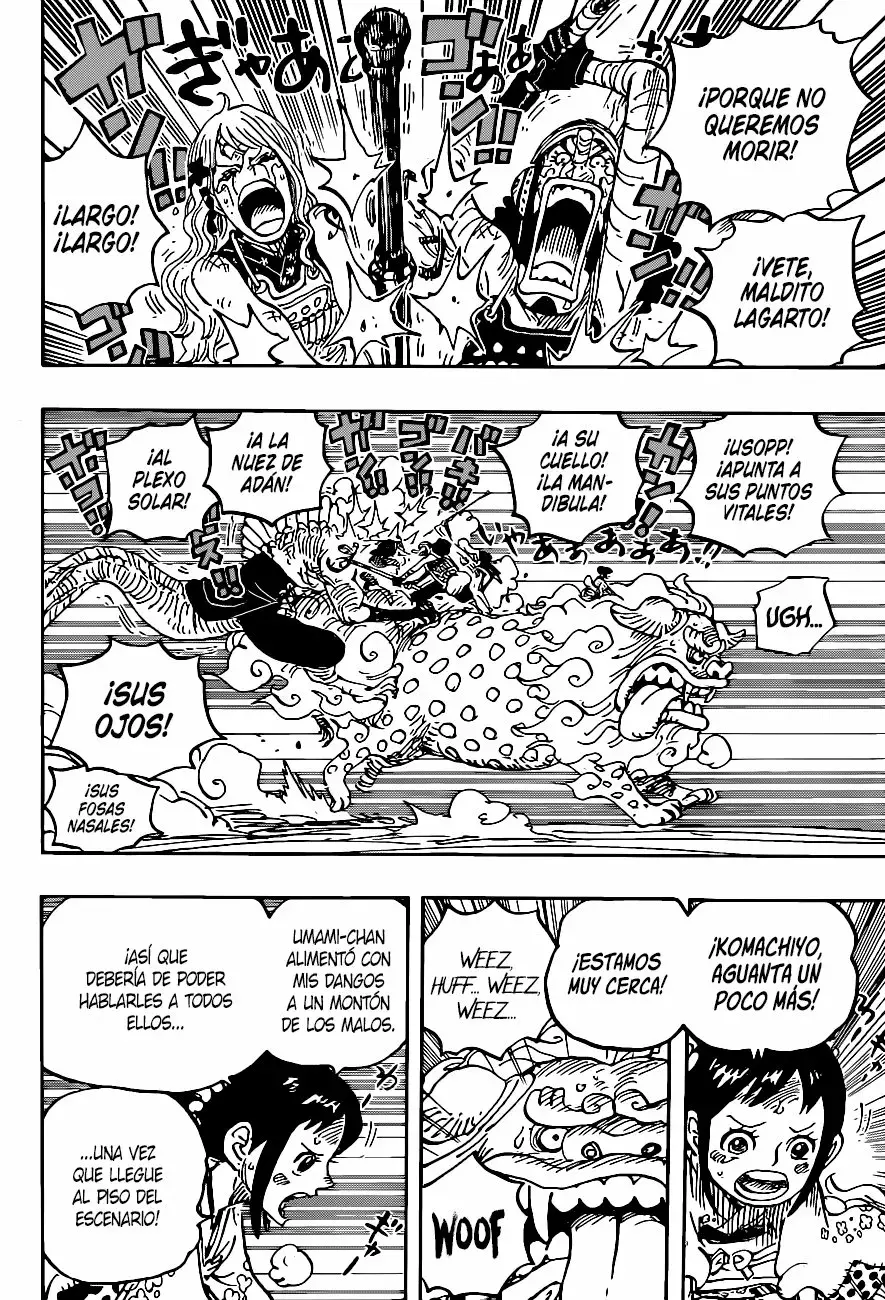 One Piece capítulo 1011 página 14