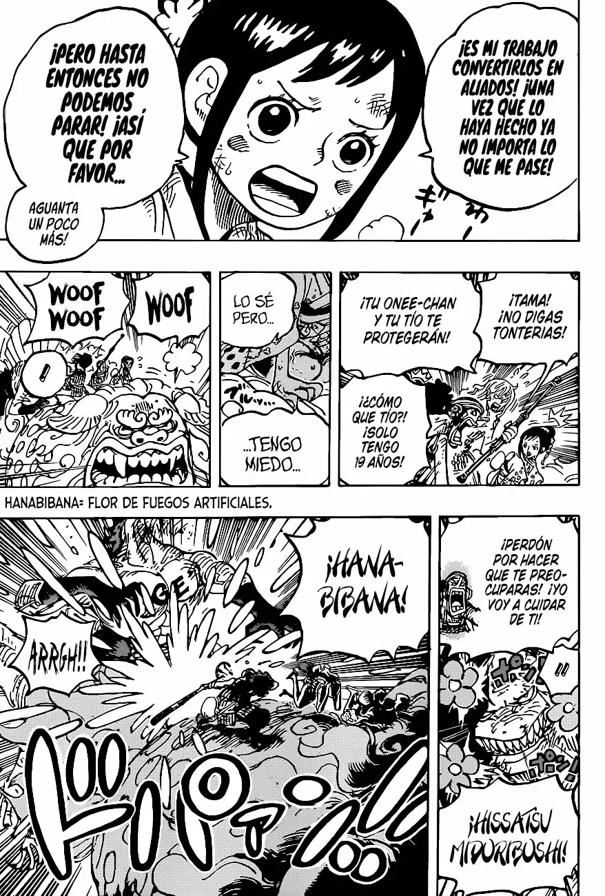 One Piece capítulo 1011 página 15