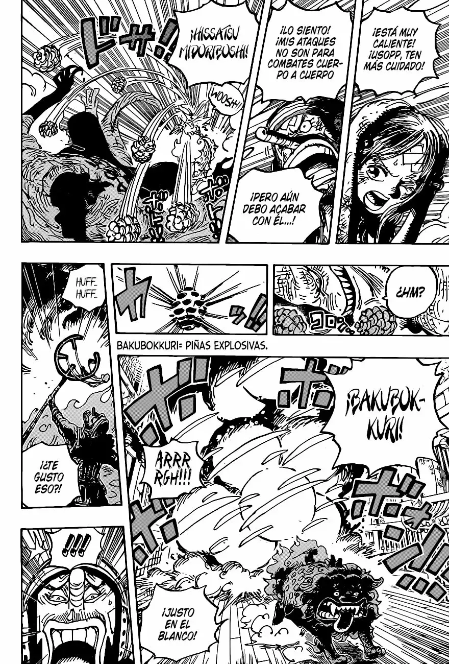 One Piece capítulo 1011 página 16